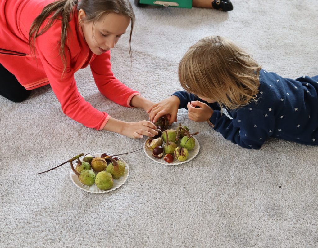 308967515_461295162727650_4940694662388089155_n